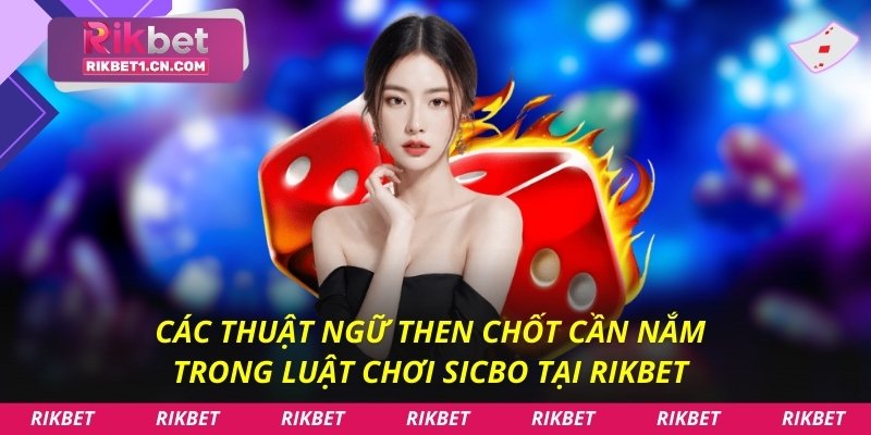 Các thuật ngữ then chốt cần nắm trong Luật chơi Sicbo tại Rikbet
